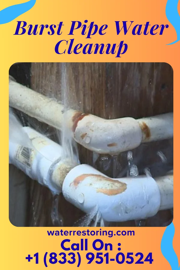 Burst Pipe Water Cleanup in Norwood Young America, MN