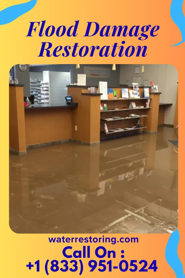 Flood Damage Restoration in Norwood Young America, MN