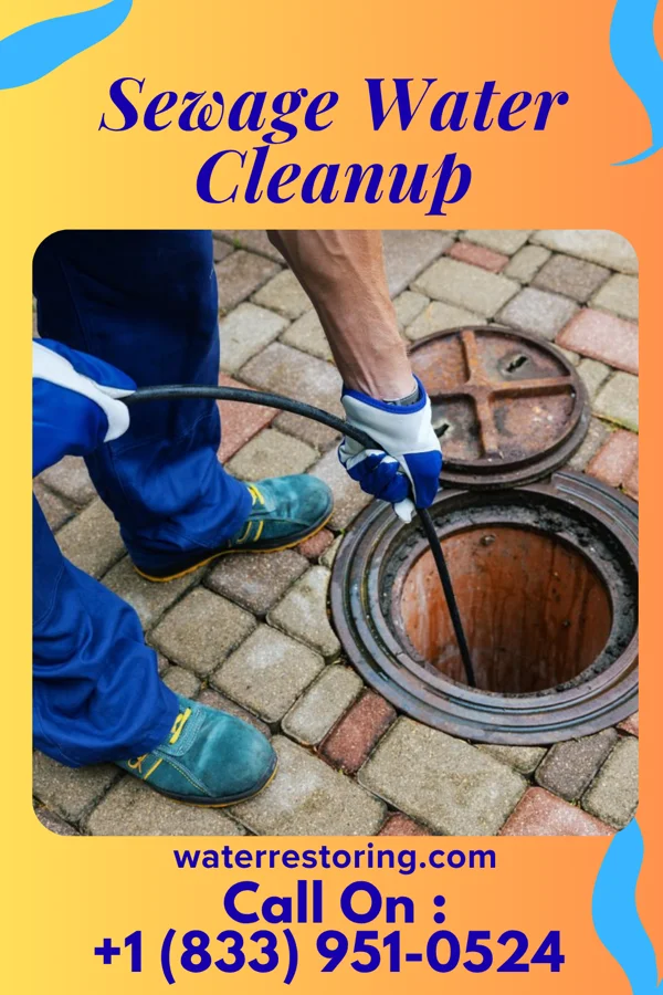 Sewage Water Cleanup in Norwood Young America, MN