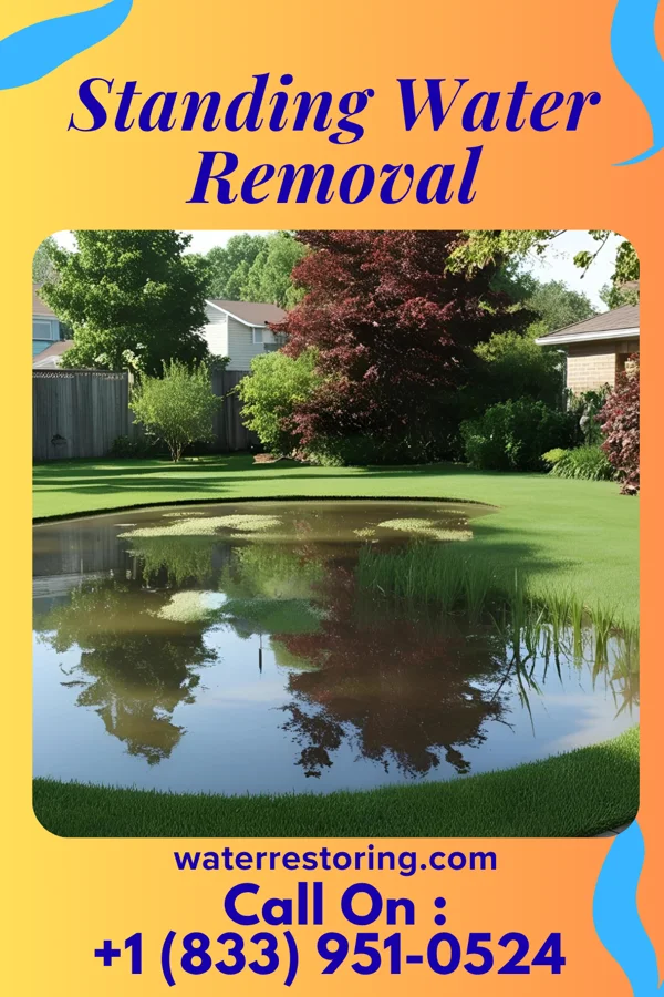 Standing Water Removal in Norwood Young America, MN